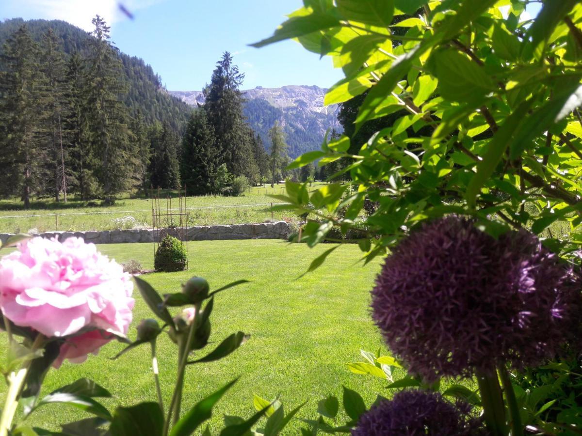 Bergheim * Pertisau