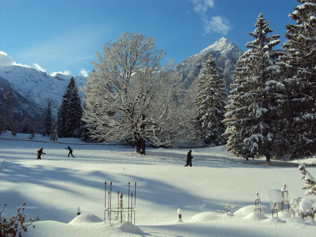 Bergheim * Pertisau